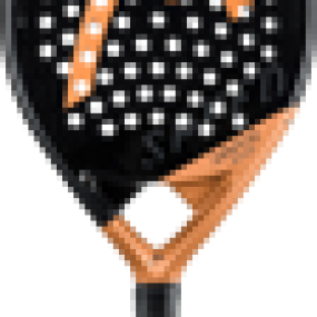 Head Speed Motion 2023